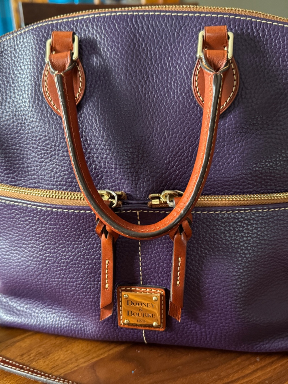 Dooney & Bourke Purple Dillen Double Pocket Leather Satchel